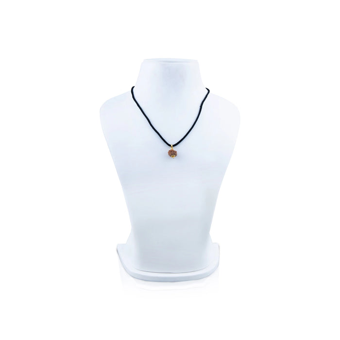 11 Face Rudraksha Pendant - 7 x 5 Inches | Golden Cup Rudraksha Bead/ Java Rudraksh Locket