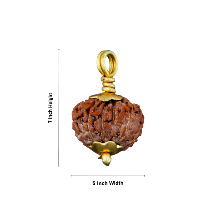 11 Face Rudraksha Pendant - 7 x 5 Inches | Golden Cup Rudraksha Bead/ Java Rudraksh Locket