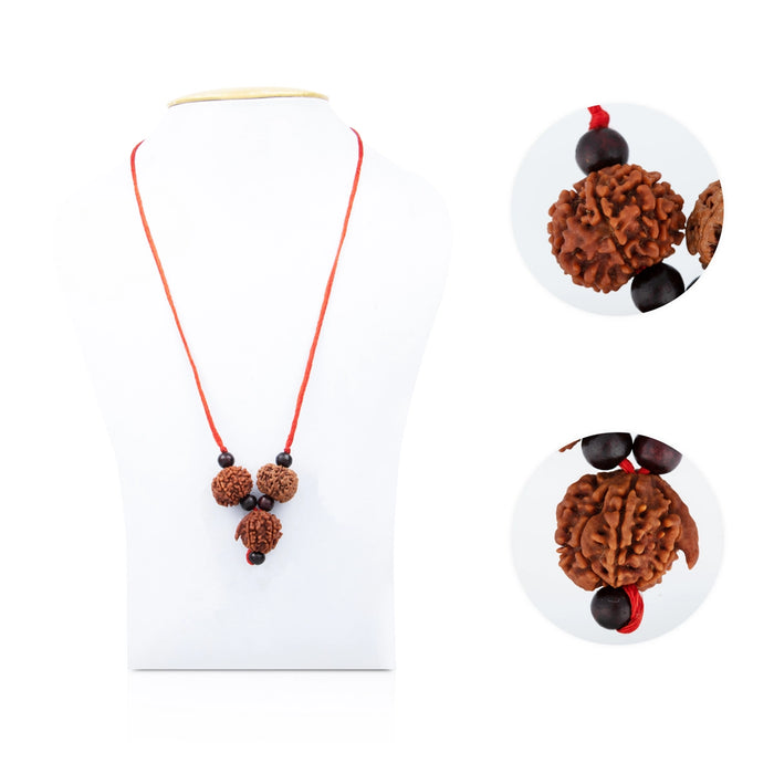 Rudraksha Kavach | Rudraksh Bead/ Shivshakti Kavach for Men & Women