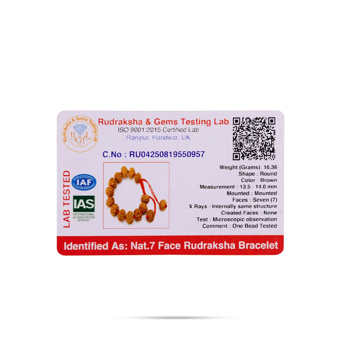 Rudraksha Mala | 7 Mukhi Rudraksha Mala/ Seven Face Rudraksha Bead Necklace for Spiritual Wear
