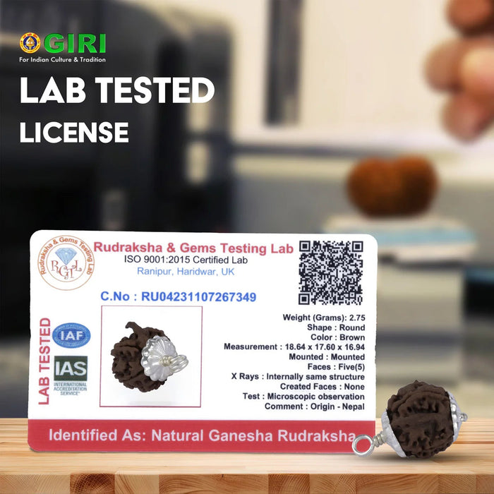 Ganesh Rudraksha Pendant with Silver Cup | Nepali Rudraksh Locket/ Rudraksha Bead Pendant for Men & Women