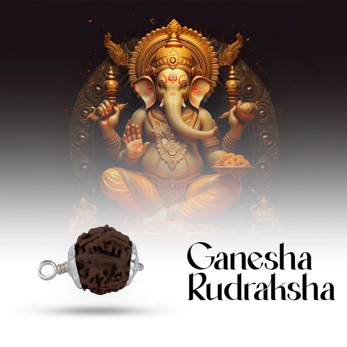 Ganesh Rudraksha Pendant with Silver Cup | Nepali Rudraksh Locket/ Rudraksha Bead Pendant for Men & Women