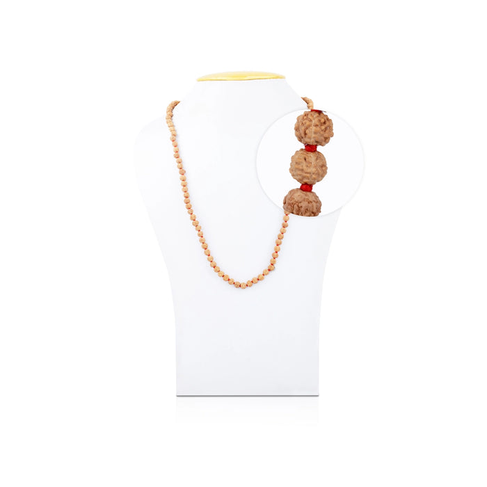 Rudraksha Malai | 7 to 8 mm Ruthratcham Malai/ Rudraksh Malai for Medi ...