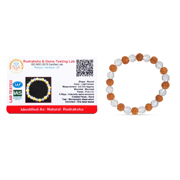 Rudraksha Sphatik Bracelet - 2.5 Inches | Elastic Type Sphatik Rudraksha Bracelet for Men and Women