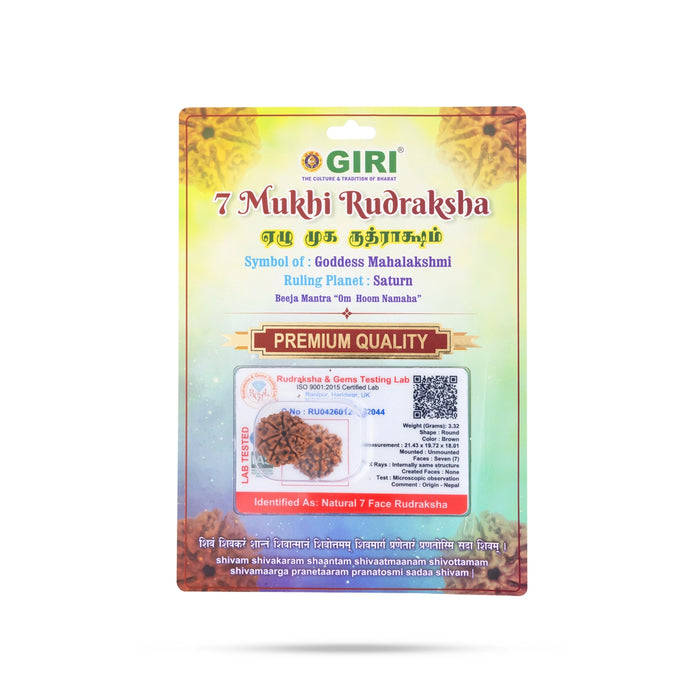 7 Face Rudraksha Beads | 7 Mukhi Rudraksha / Seven Face Rudraksha Bead for Spiritual Worship