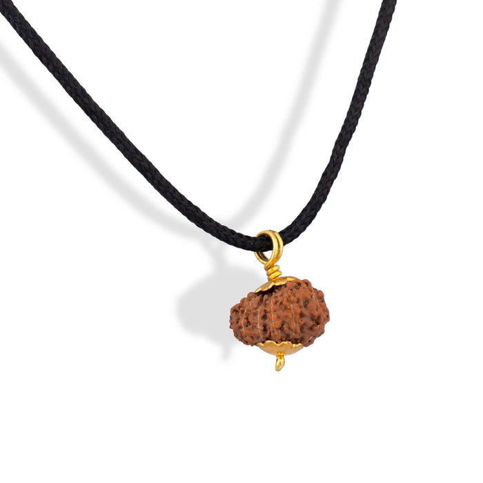 Rudraksha Pendant 12 Face Java - Golden Cup12 Mukhi Rudraksha Bead | Golden Cup Twelve Faced Rudraksha/ Java Twelve Mukhi Rudraksha for Men & Women