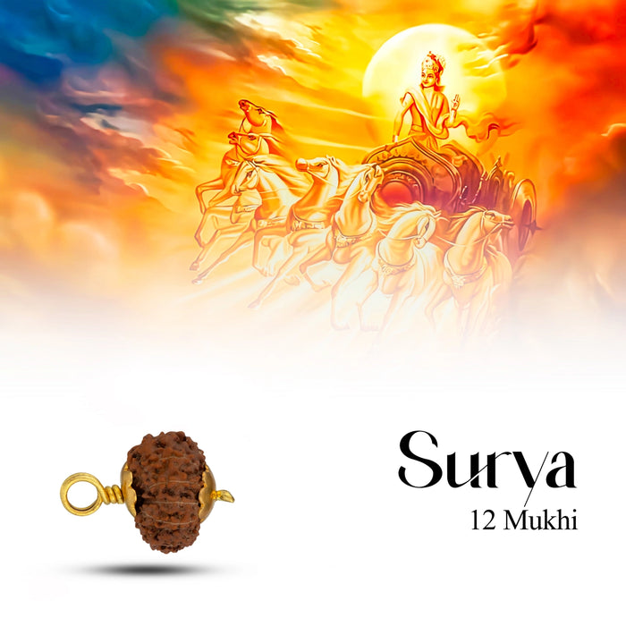 Rudraksha Pendant 12 Face Java - Golden Cup12 Mukhi Rudraksha Bead | Golden Cup Twelve Faced Rudraksha/ Java Twelve Mukhi Rudraksha for Men & Women