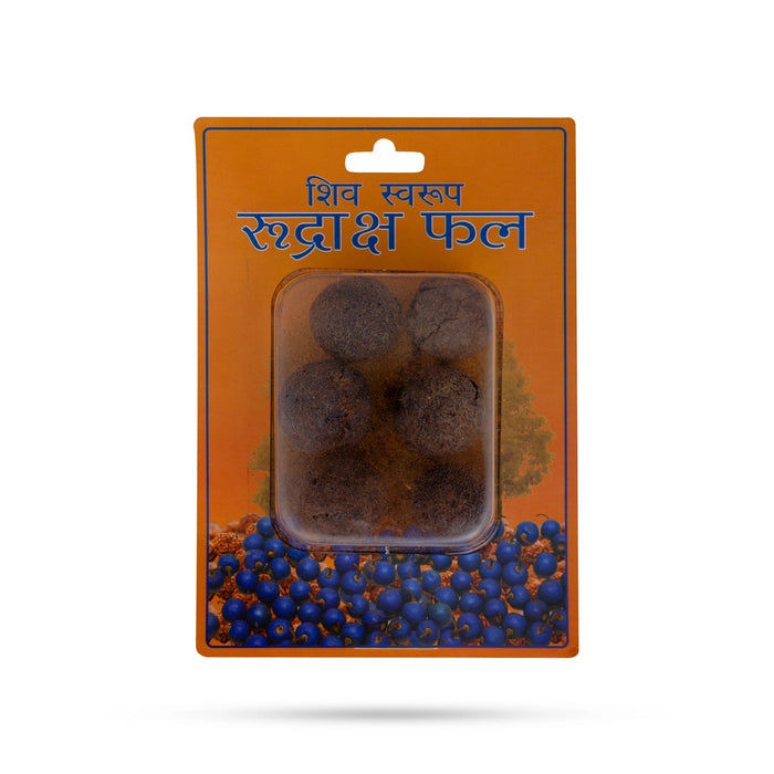 Rudraksha Fruit | Rudraksha Berries / Ruthratcham fruit / Rudraksha Bead Fruit