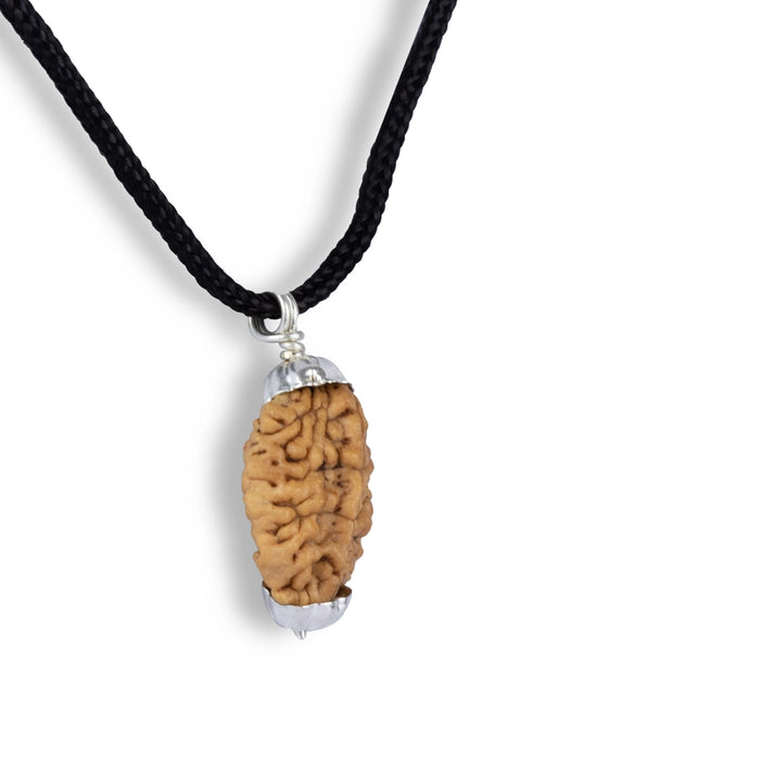 Rudraksha Pendant | 2 Face/ Ruthratcham Dollar With White Cup/ Rudraksh Locket For Spiritual Wear