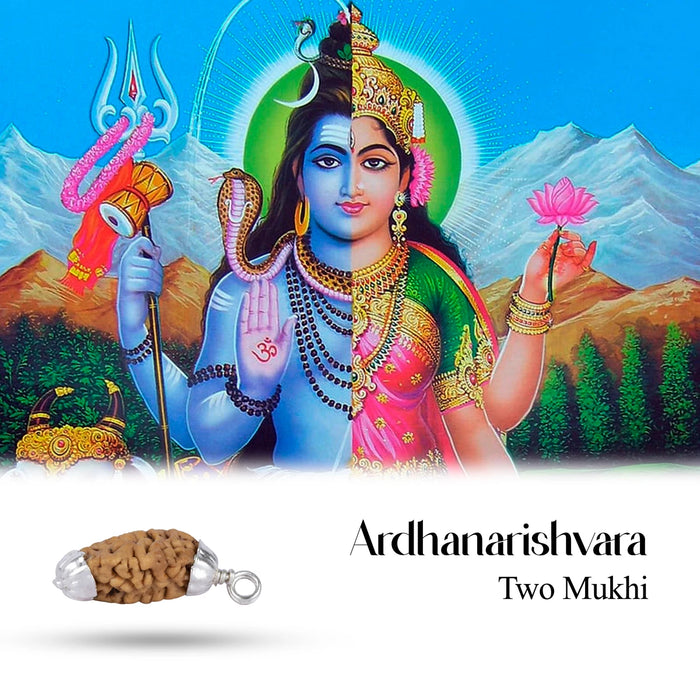 Rudraksha Pendant | 2 Face/ Ruthratcham Dollar With White Cup/ Rudraksh Locket For Spiritual Wear