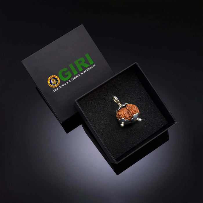 Gowri Shankar Rudraksha Pendant | Java Rudraksh Locket/ Silver Cup Rudraksha Pendant for Men & Women