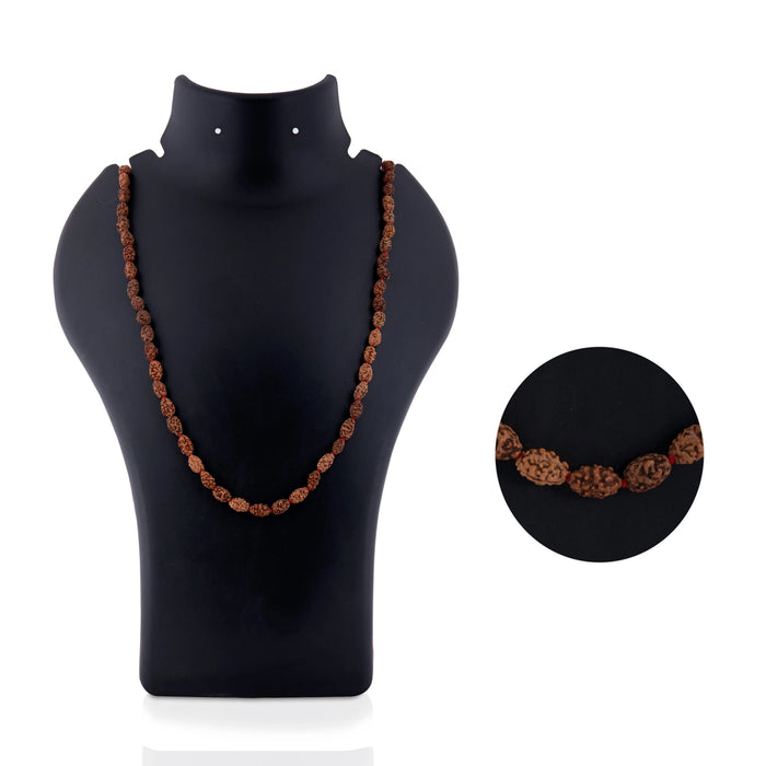 2 Mukhi Rudraksha Mala Java | Two Face Rudraksha Mala/ Rudraksha Bead Necklace for Daily Wear