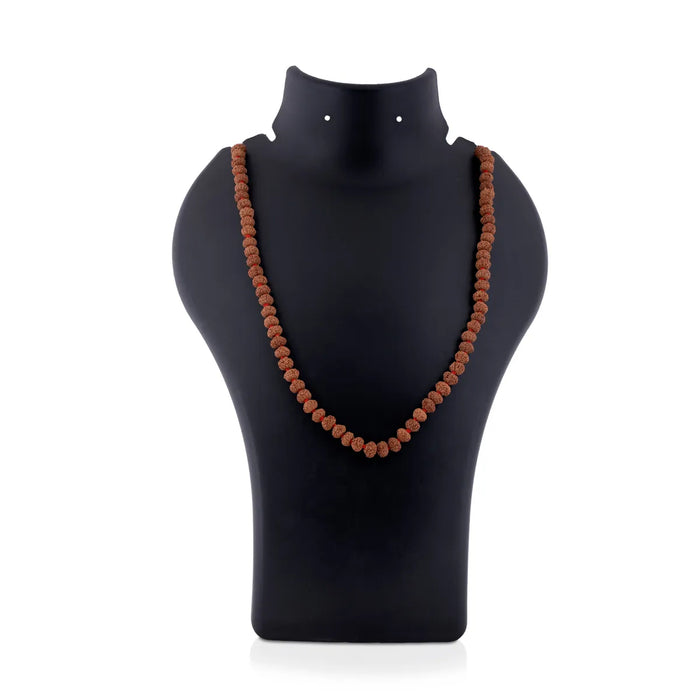 10 Face Rudraksha Mala | 10 Mukhi Ruthratcham Malai/ Java Rudraksha Kanthi Mala For Spiritual Wear
