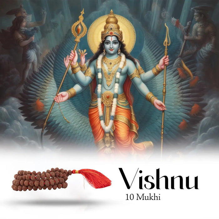 10 Face Rudraksha Mala | 10 Mukhi Ruthratcham Malai/ Java Rudraksha Kanthi Mala For Spiritual Wear
