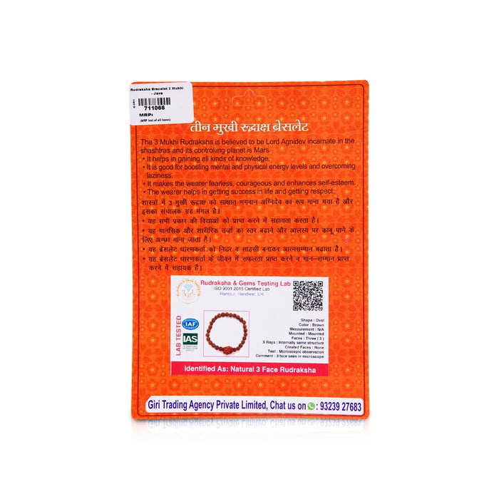 3 Mukhi Rudraksha Bracelet | Three Face Java Rudraksh Hand Band for Men and Women