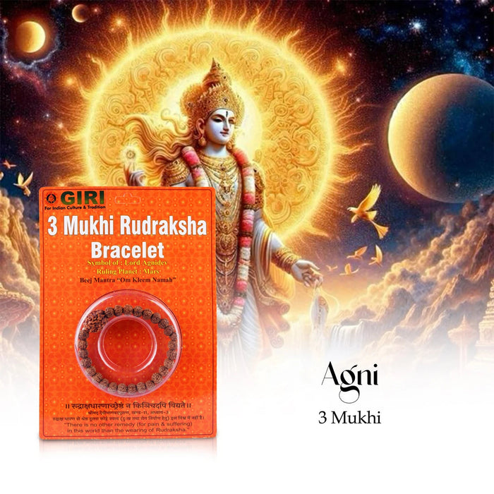 3 Mukhi Rudraksha Bracelet | Three Face Java Rudraksh Hand Band for Men and Women