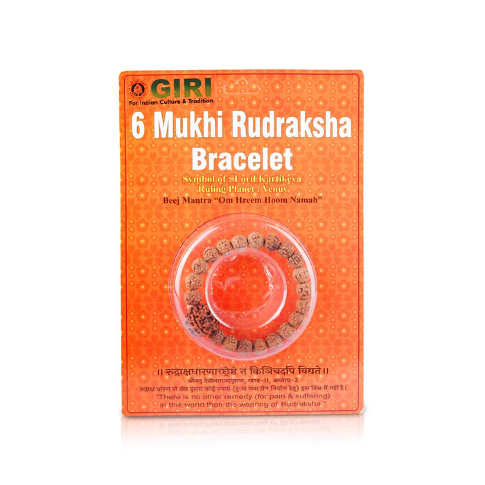 6 Mukhi Rudraksha Bracelet | Java Rudraksha Hand Bracelet/ 6 Face Rudraksh Hand Band For Spiritual Wear