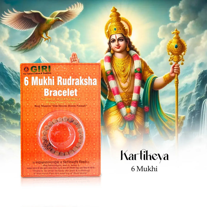 6 Mukhi Rudraksha Bracelet | Java Rudraksha Hand Bracelet/ 6 Face Rudraksh Hand Band For Spiritual Wear