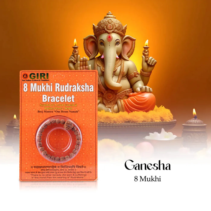 8 Mukhi Rudraksha Bracelet | Java Rudraksha Hand Bracelet/ 8 Face Rudraksh Hand Band For Spiritual Wear