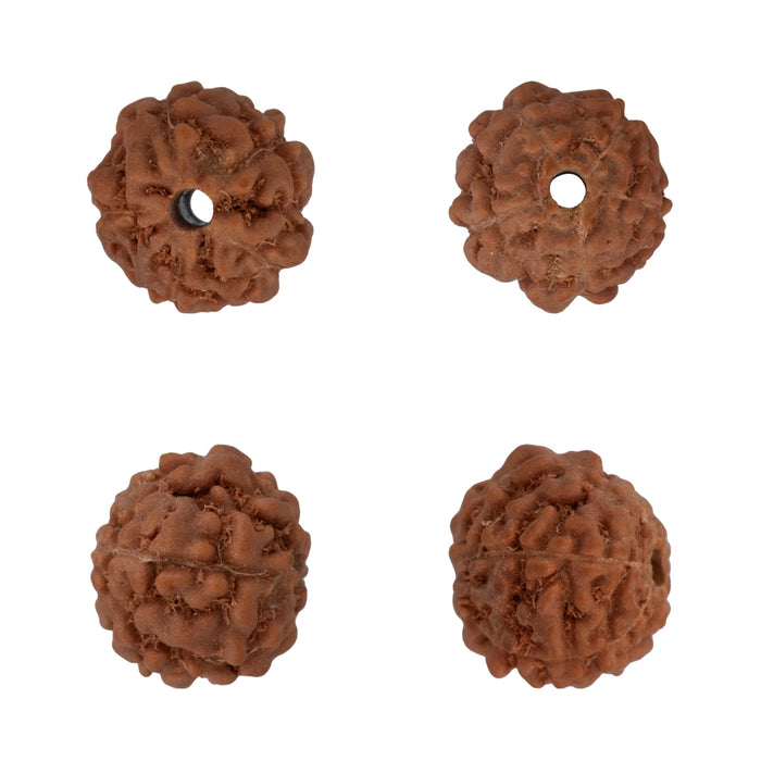 Rudraksha Beads - Set | Rudraksha Mala Beads/ Rudraksh Beads for Men & Women