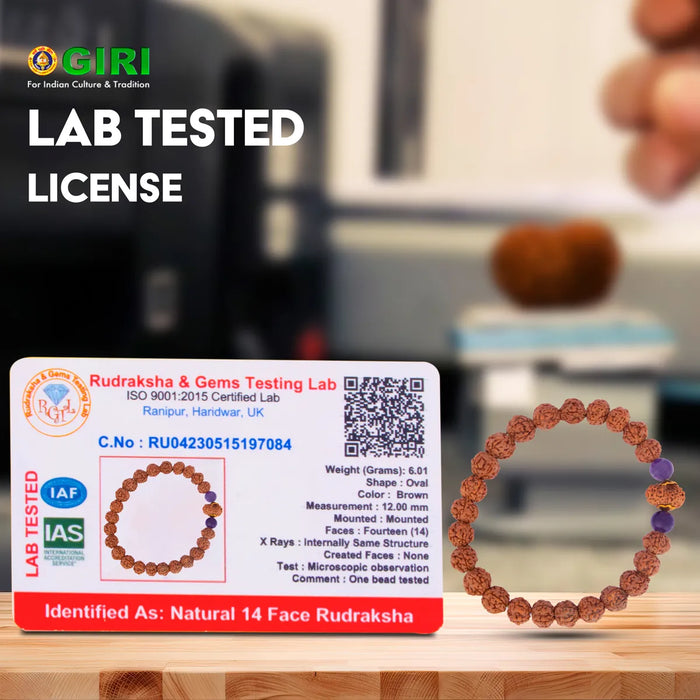 14 Face Rudraksha Bracelet | 14 Mukhi Ruthratcham Bracelet/ Rudraksh Hand Band For Spiritual Wear