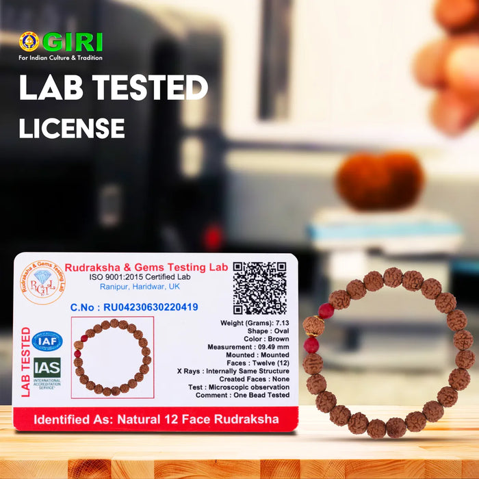 12 Face Rudraksha Bracelet | 12 Mukhi Ruthratcham Bracelet/ Rudraksh Hand Band For Positive Energy Protection