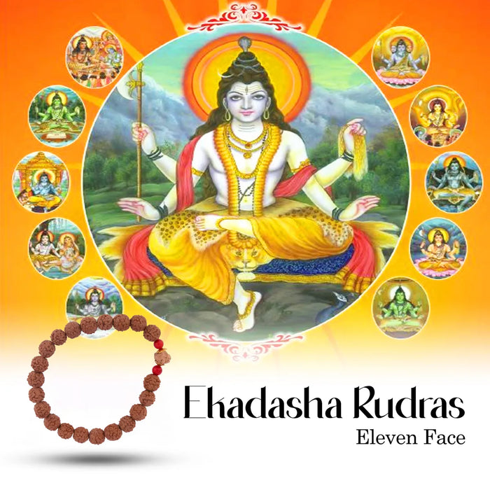 11 Face Rudraksha Bracelet | 11 Mukhi Ruthratcham Bracelet/ Rudraksh Hand Band For Spiritual Wear