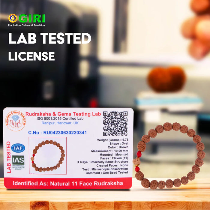 11 Face Rudraksha Bracelet | 11 Mukhi Ruthratcham Bracelet/ Rudraksh Hand Band For Spiritual Wear