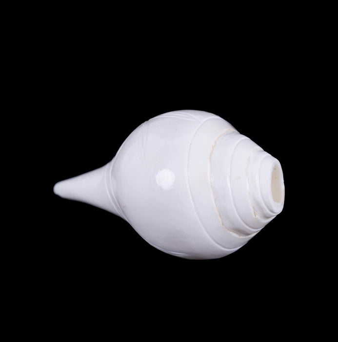 Blowing Shankh - 2.75 x 5 Inches | Vamavarti Shankh/ Bajane Wala Shankh/ Blowing Conch for Pooja