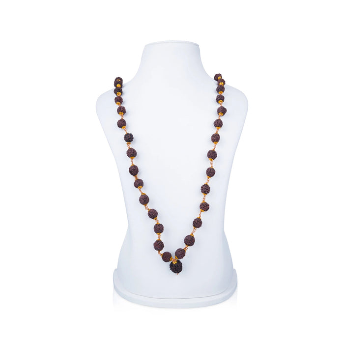 Golden Cup Rudraksha Mala- 24 Inches | 54 Beads Kanthi Mala/ 12 mm/Copper Knot Ruthratcham Malai For Daily Wear