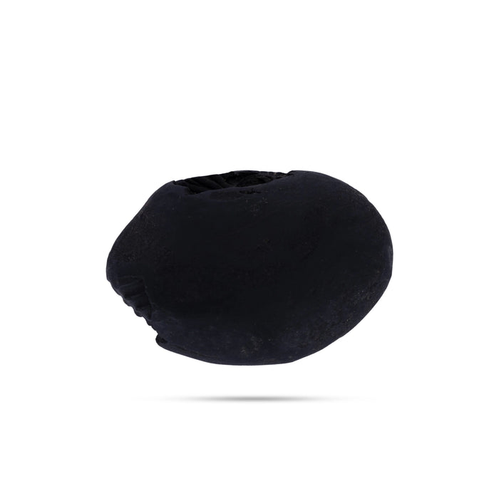 Shaligram Idol - 0.75 x 1.5 Inches | Shaligram Murti/ Saligram Murti for Pooja