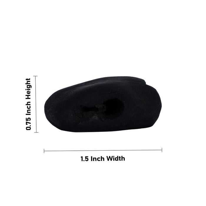 Shaligram Idol - 0.75 x 1.5 Inches | Shaligram Murti/ Saligram Murti for Pooja