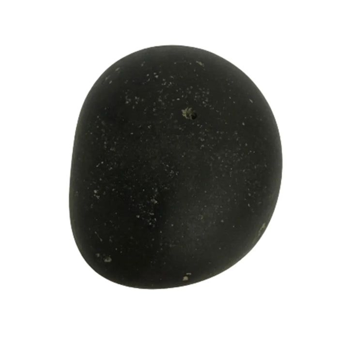 Shaligram Murti | Saligram Murti/ Shaligram Idol/ Shaligram Shila Stone For Pooja And Bringing Divine Blessings