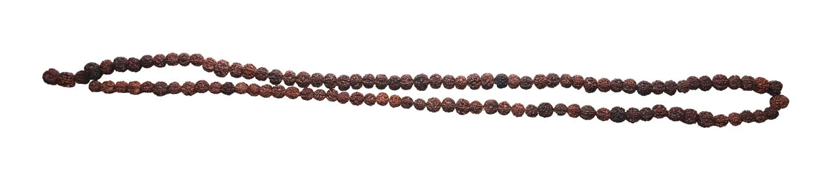 6 Face Ruthratcham Malai - 31 Inches | 108 Beads Rudraksha Mala/ 6 Mukhi Kantha Mala for Meditation