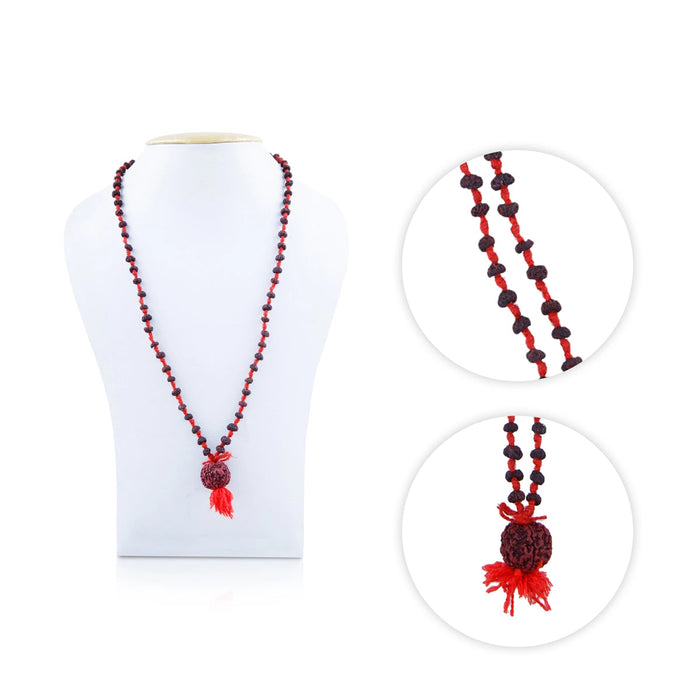 Rudraksha Mala - 11 Inches | Kanthi Mala/ Ruthratcham Malai For Spiritual Practice & Meditation