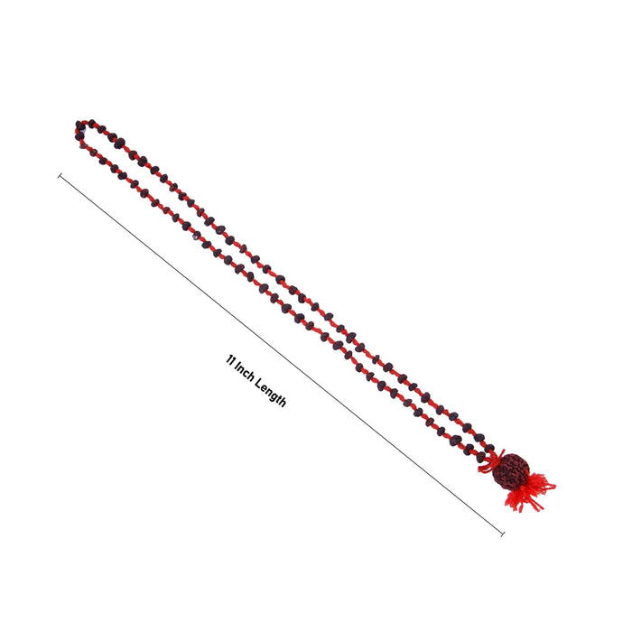 Rudraksha Mala - 11 Inches | Kanthi Mala/ Ruthratcham Malai For Spiritual Practice & Meditation