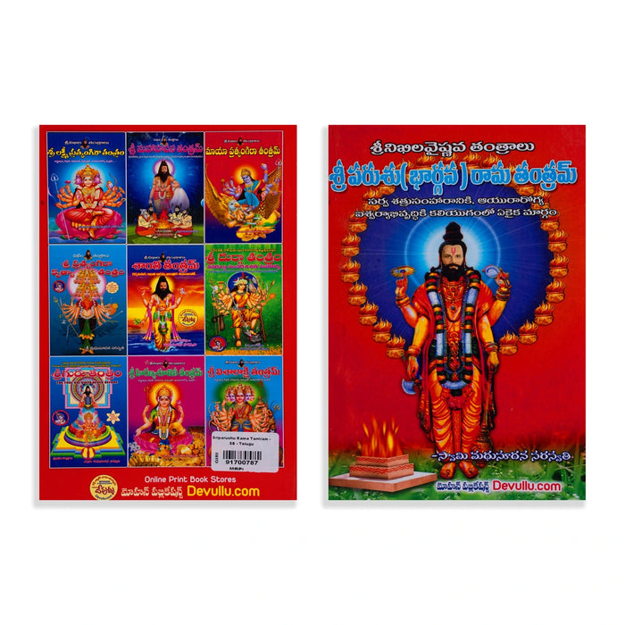 Sri Parasu Rama Tantram - Telugu | by Swami Madhusudana Saraswati/ Hindu Tantra Book