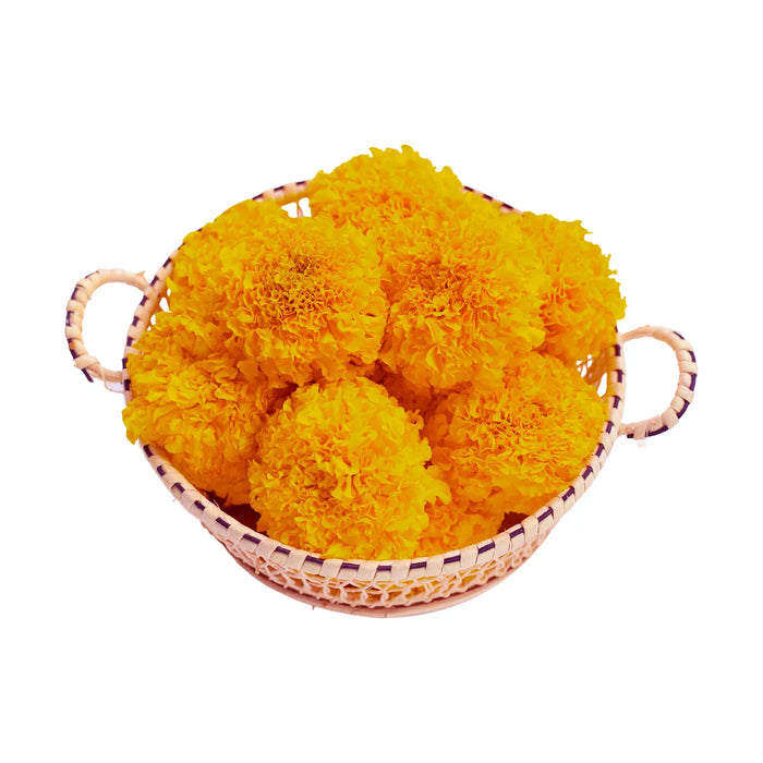 Marigold