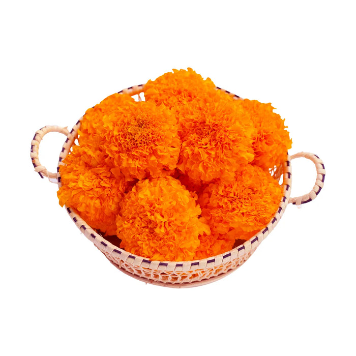 Marigold