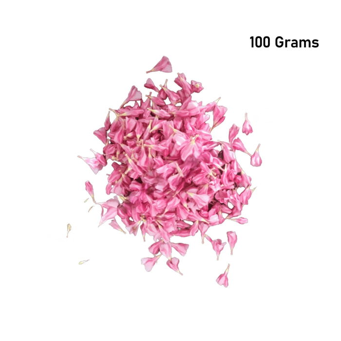 flower pedals Giri - Oleander | Oleander Leaf