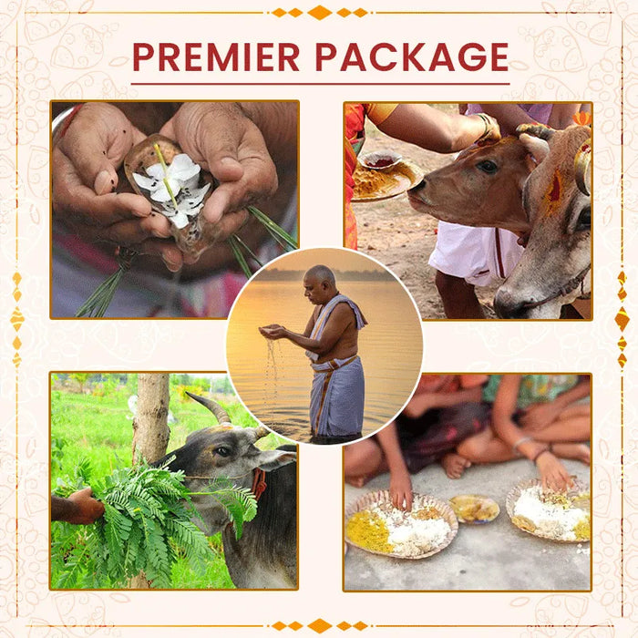 Mahalaya Amavasaya Service-25(21st Sep-25)-Premier Package