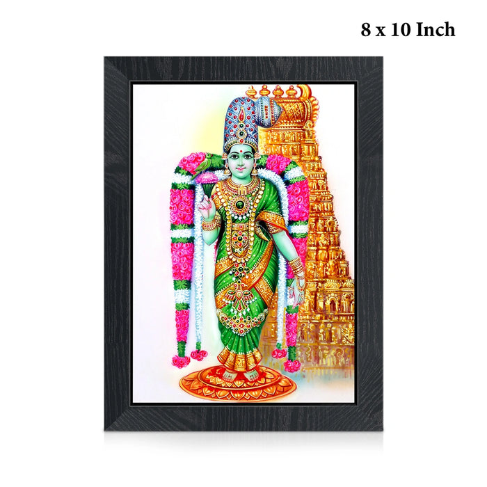 Meenakshi Amman Wall Frame | Madurai Meenakshi with Parrot Photo Frame for Living Room & Pooja Space